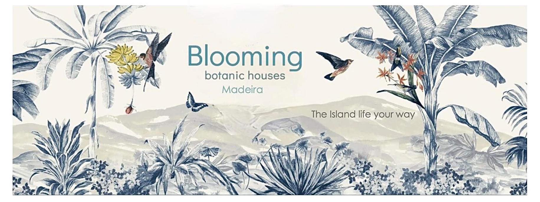 Blooming Botanic Houses Estreito Da Calheta Exterior foto
